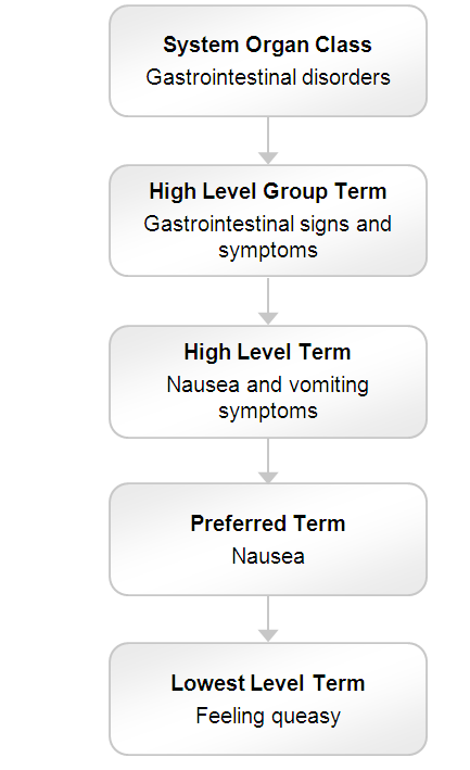 Meddra Hierarchy Meddra